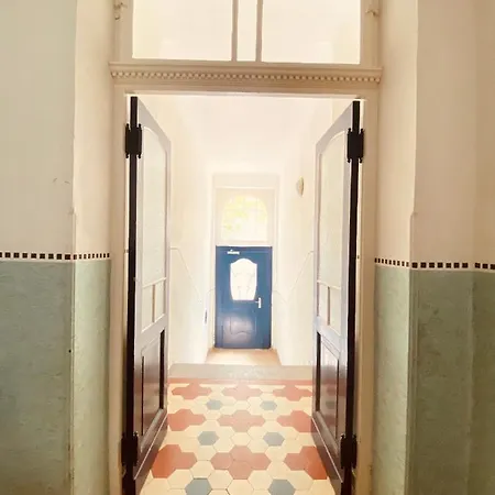 Jugendstil-altbauwohnung Mit Dachterrasse Direkt An Der Karlsaue