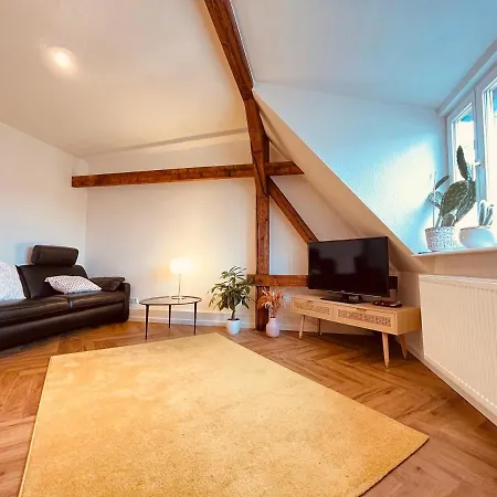 Jugendstil-altbauwohnung Mit Dachterrasse Direkt An Der Karlsaue *