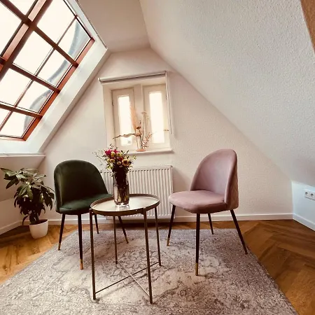 Jugendstil-altbauwohnung Mit Dachterrasse Direkt An Der Karlsaue Lägenhet *