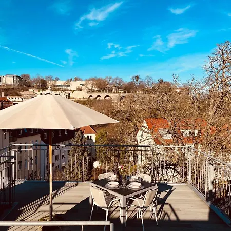 Jugendstil-altbauwohnung Mit Dachterrasse Direkt An Der Karlsaue