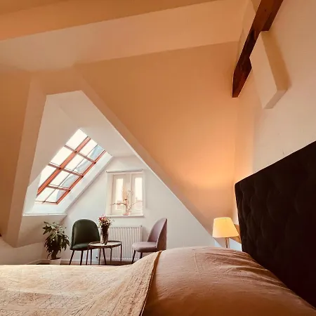 Jugendstil-altbauwohnung Mit Dachterrasse Direkt An Der Karlsaue *