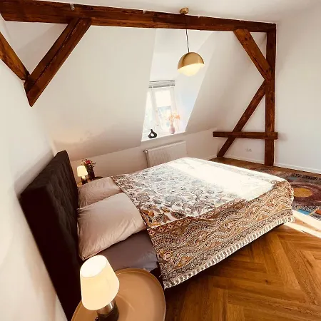 Jugendstil-altbauwohnung Mit Dachterrasse Direkt An Der Karlsaue *